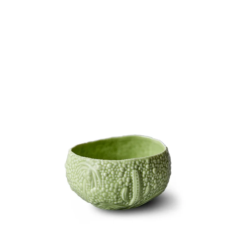 Haas Mojave Desert Bowl - Small - Matcha