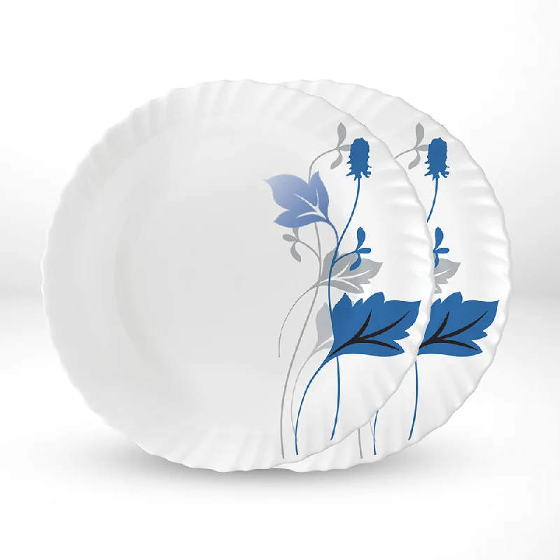 Larah by Borosil Ageria Noodle / Soup Plate Set