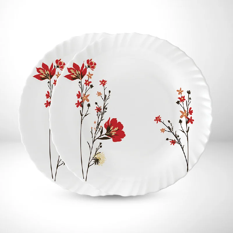 Larah by Borosil Chrys Red Noodle / Soup Plate Set