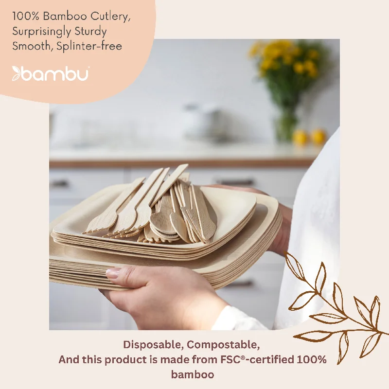 AB 1 - Veneerware Cutlery