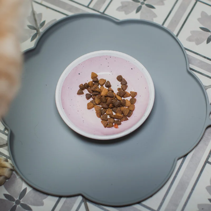 Desert Wash Speckle Cat Saucer