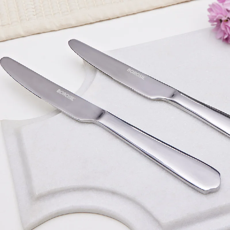 Borosil Eva Butter Knife, Set of 2