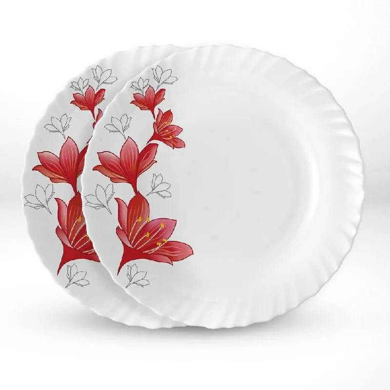 Larah by Borosil Ruby Noodle / Soup Plate Set