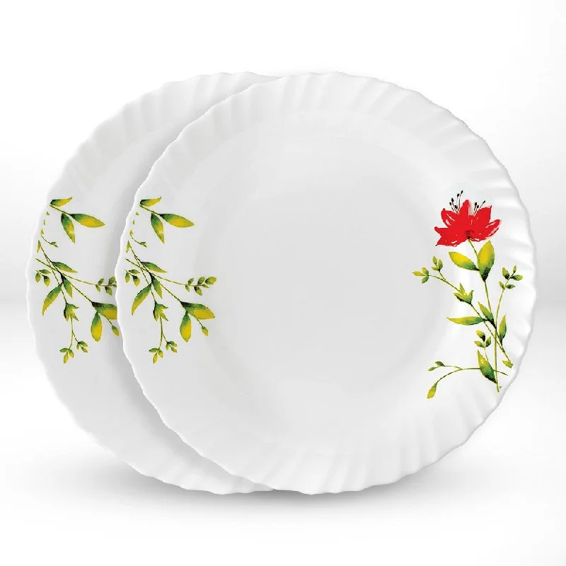 Larah by Borosil Oriental Noodle / Soup Plate Set