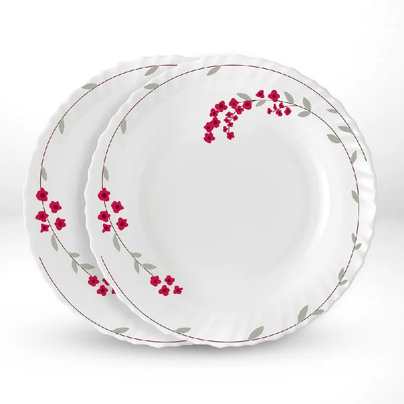 Larah by Borosil Verona Noodle / Soup Plate Set